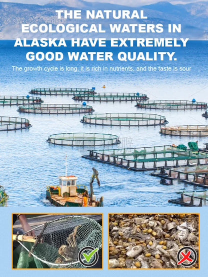 Alaskan Snow Crab Ready-to-EatCrispy Crab-Sam